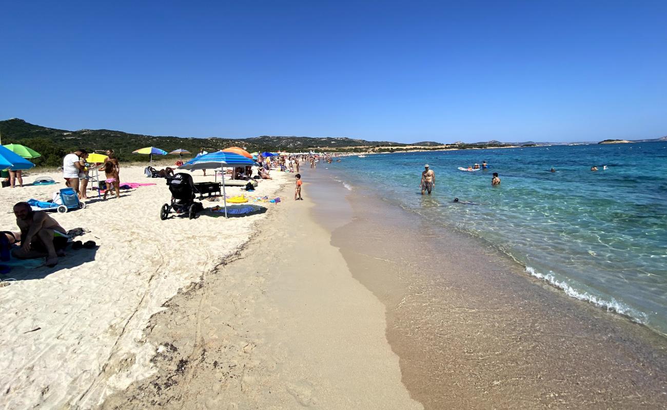 Photo de Plage de Tanca Manna avec sable beige de surface