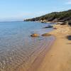 Dog Beach
