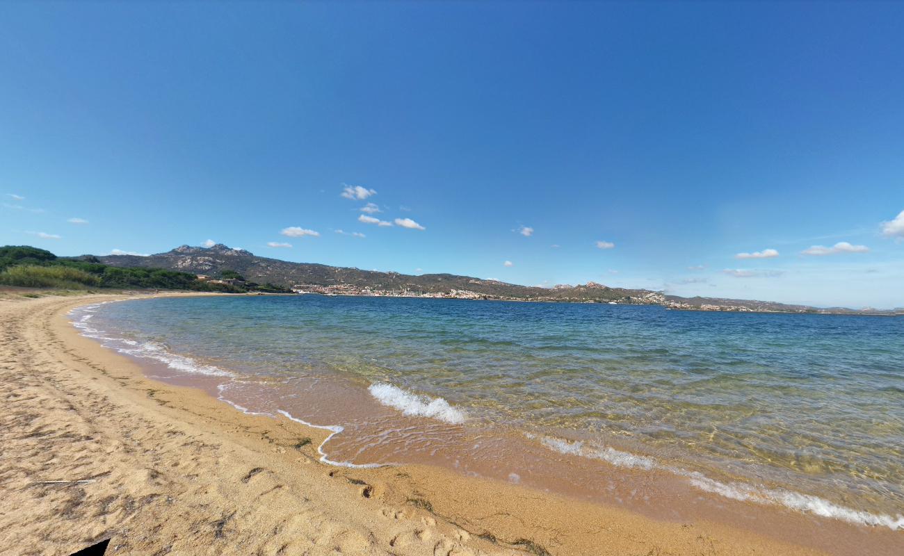 Photo de Dog Beach avec l'eau bleu de surface