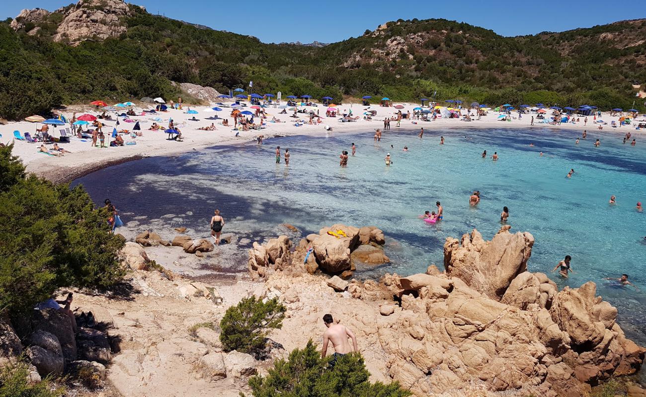 Photo de Plage du Principe avec sable fin blanc de surface