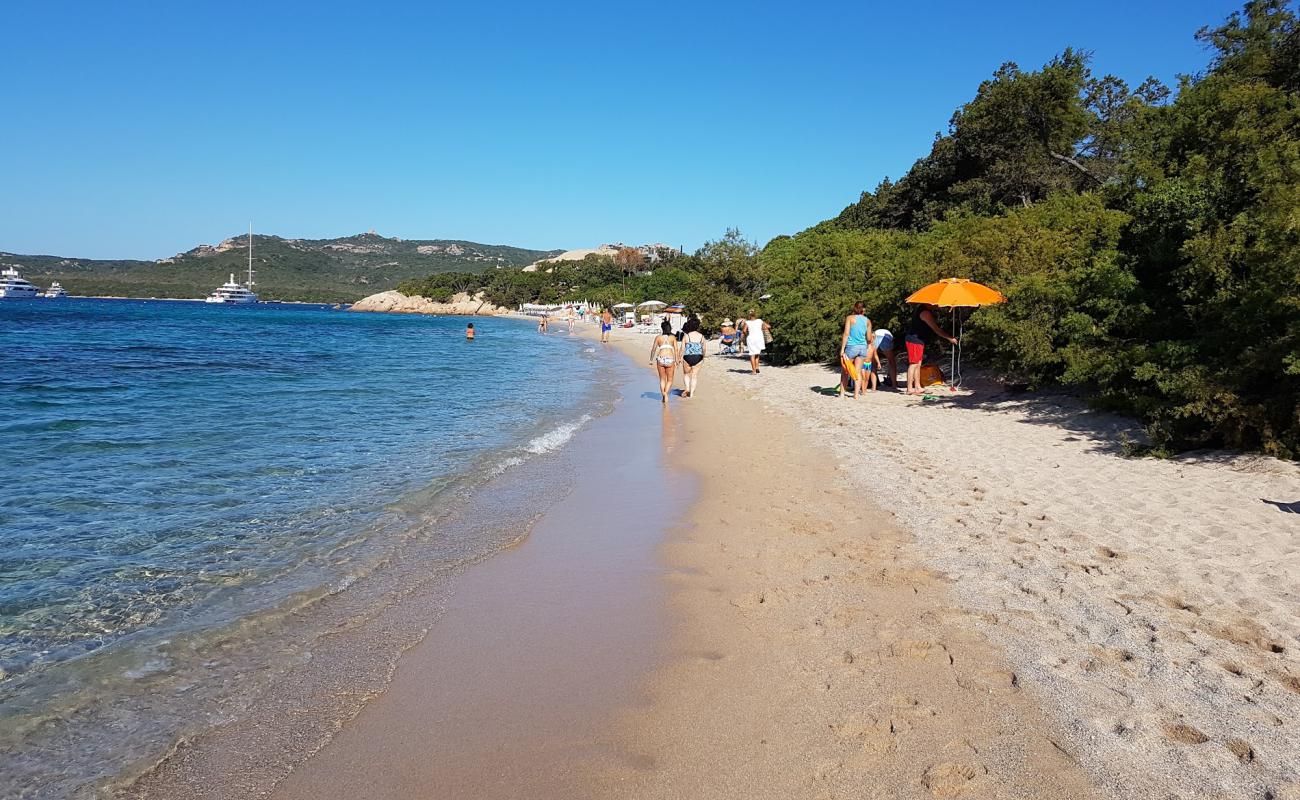 Photo de Spiaggia La Celvia avec sable beige de surface