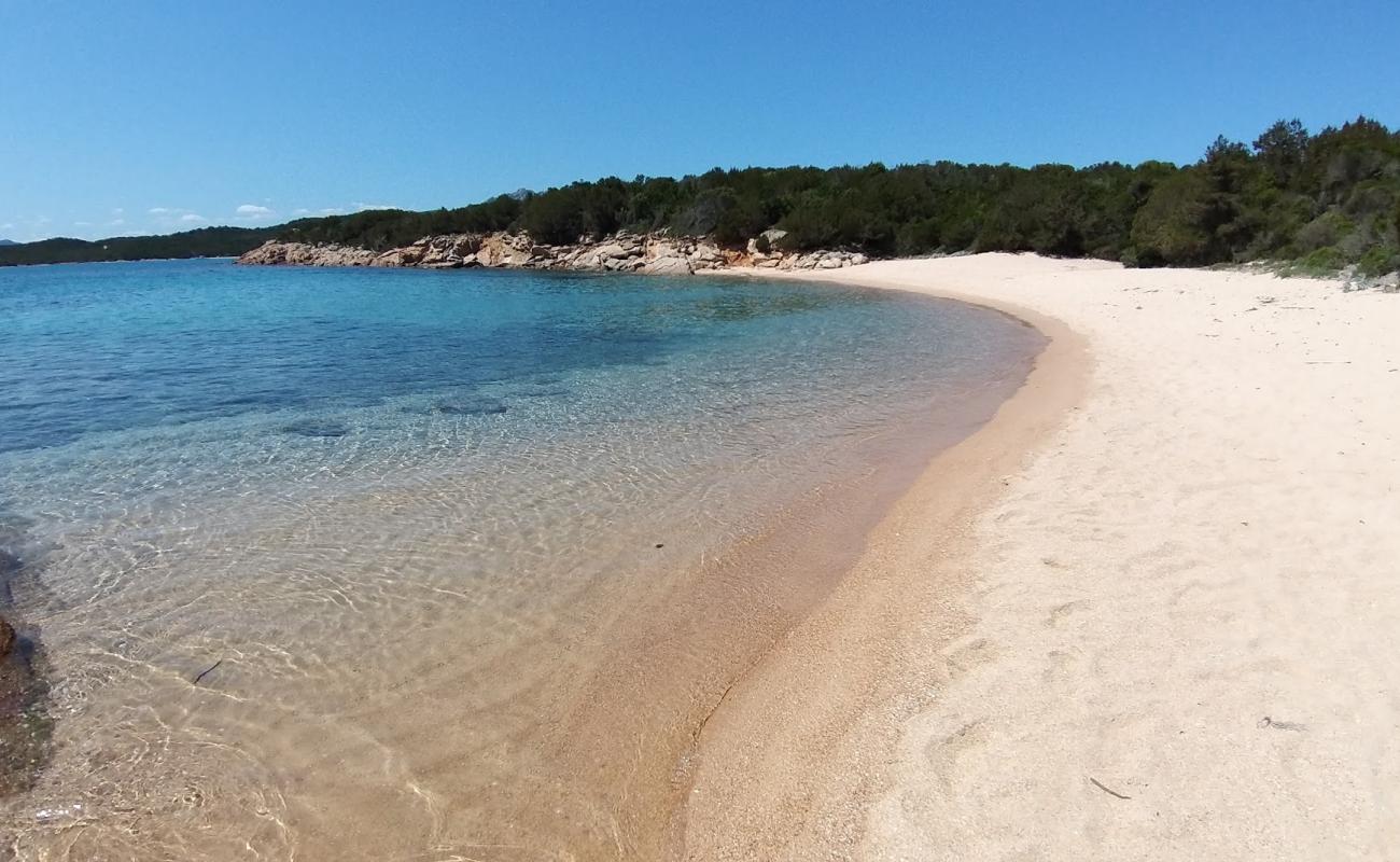 Photo de Plage de Piccola Lisciaruja avec sable lumineux de surface