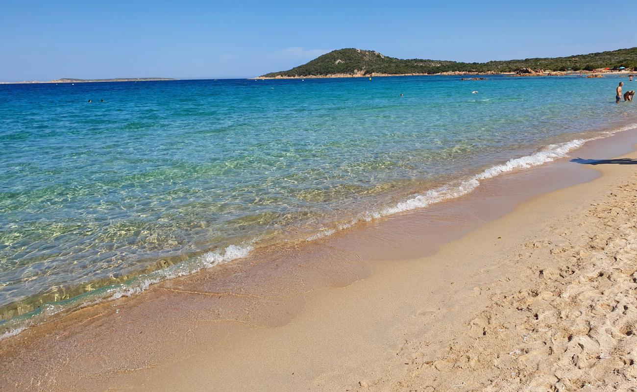 Photo de Plage de Liscia Ruja avec sable fin et lumineux de surface