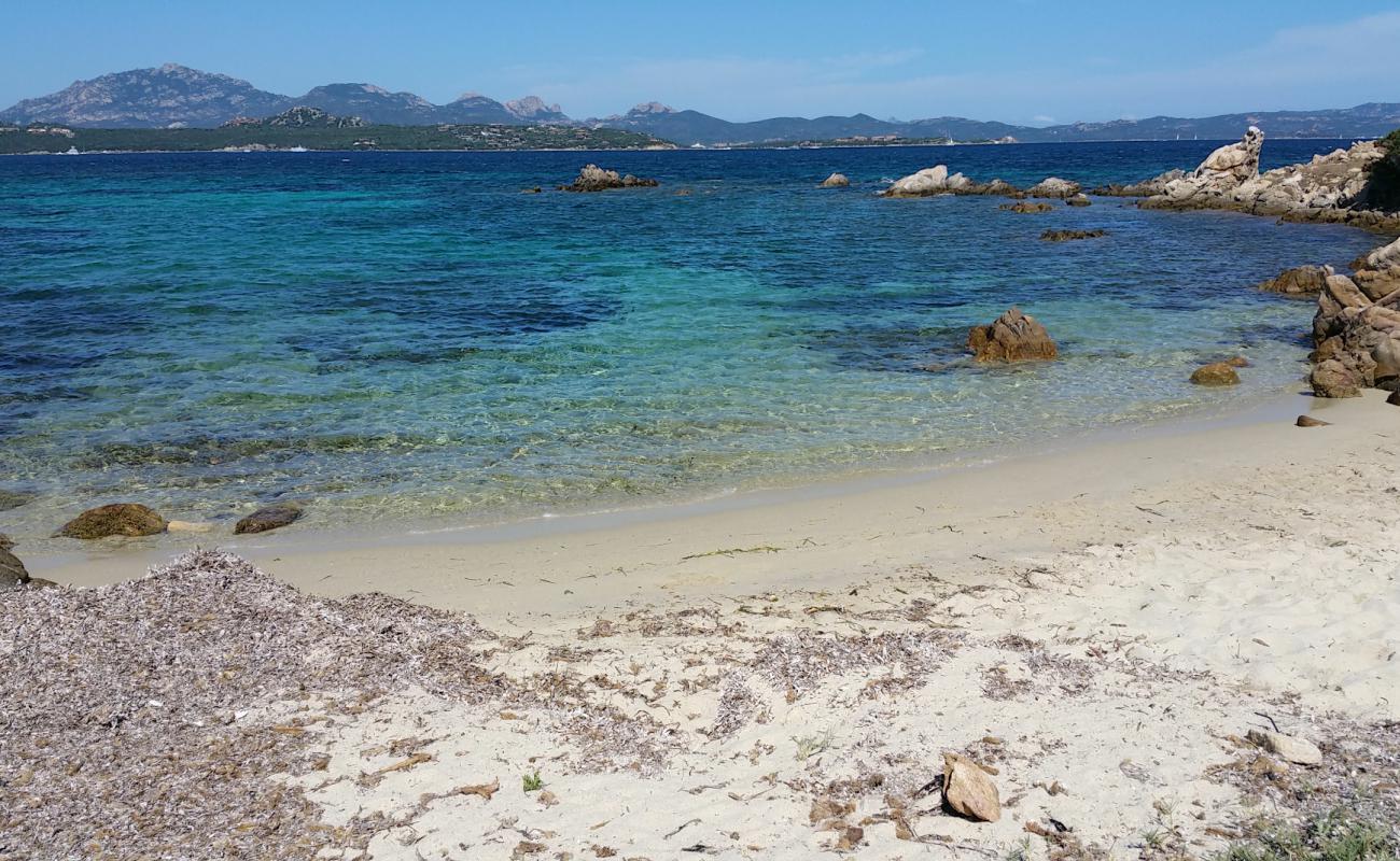 Photo de Caletta delle Tartarughe avec sable beige de surface