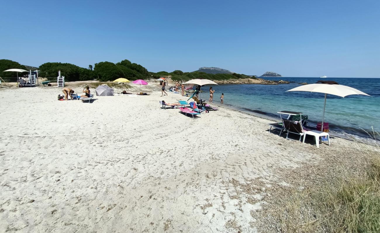 Photo de Spiaggia Terrata avec sable blanc de surface