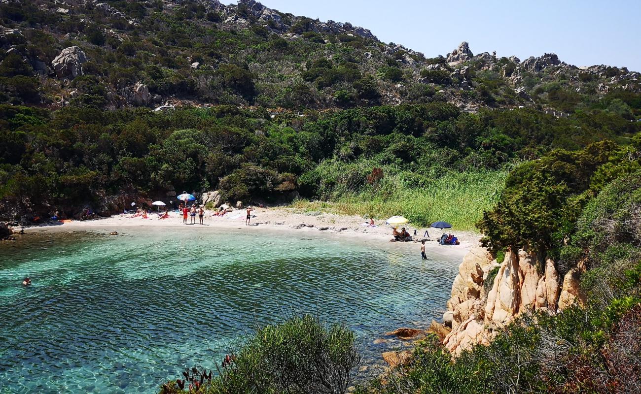 Photo de Cala Lunga beach avec sable lumineux de surface