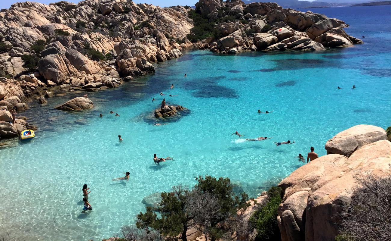 Photo de Cala Coticcio beach avec sable blanc de surface