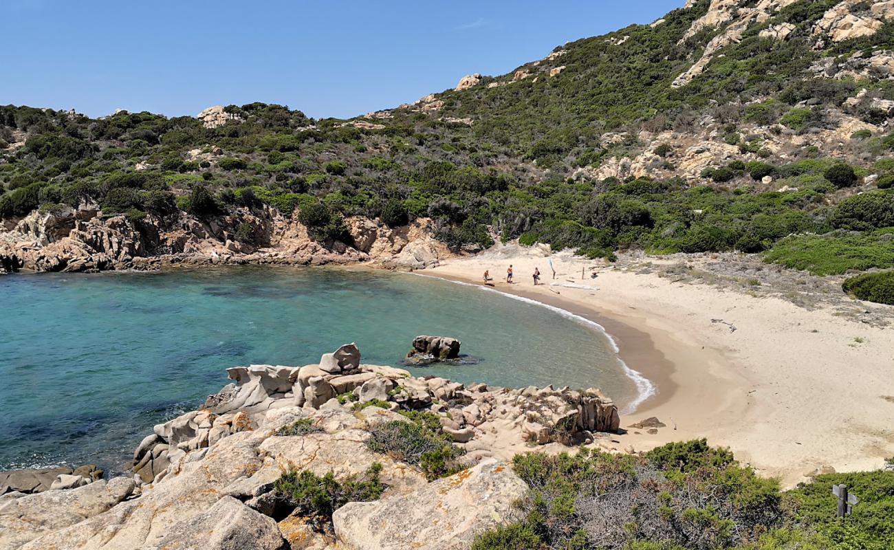 Photo de Cala D'alga beach avec sable beige de surface