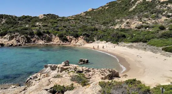 Cala D'alga beach