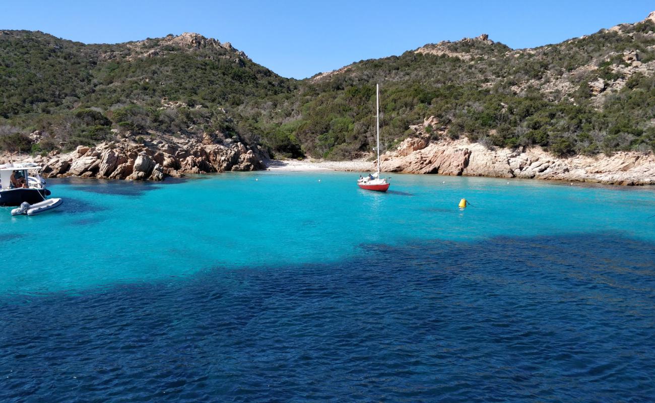 Photo de Cala Dell'amore avec sable fin blanc de surface