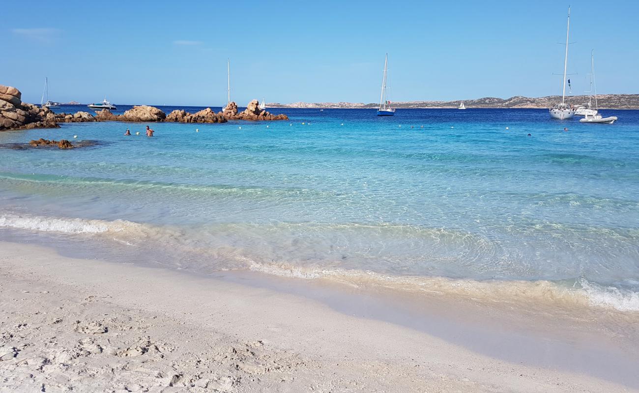 Photo de Plage Cala Dell'amore II avec sable fin et lumineux de surface