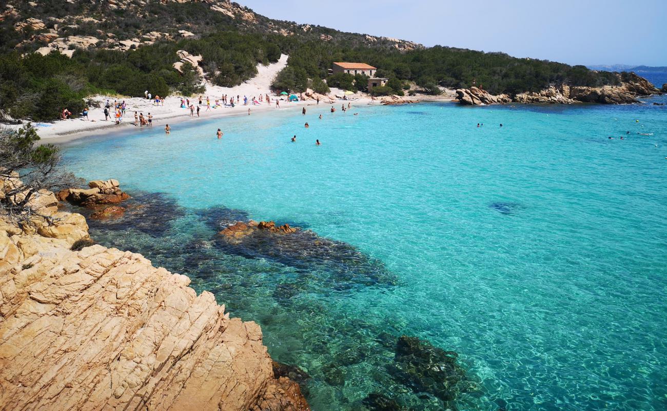 Photo de Plage de Cala Granara avec sable fin et lumineux de surface