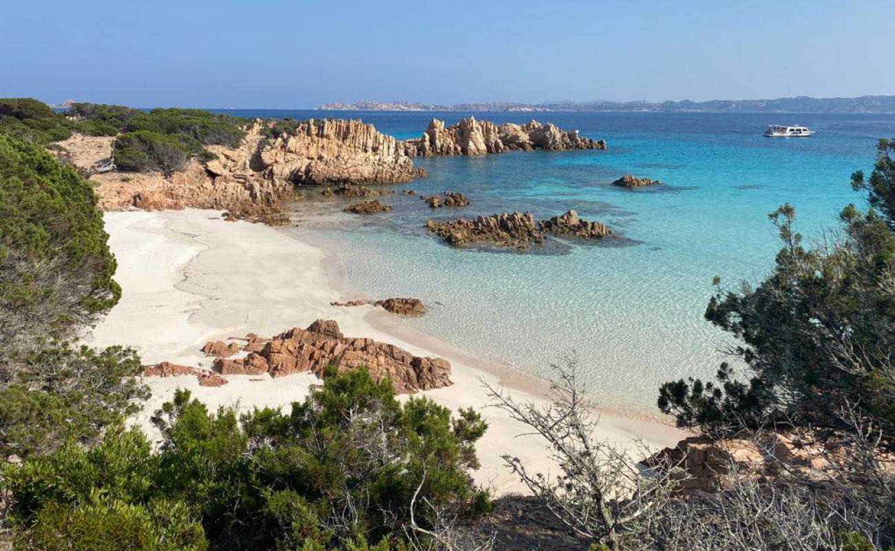 Photo de Spiaggia Rosa avec sable fin et lumineux de surface