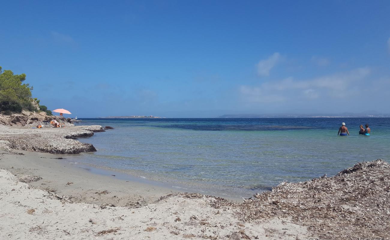 Photo de Cantagallina beach avec sable beige de surface