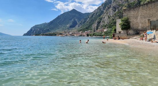 Spiaggia Per Cani