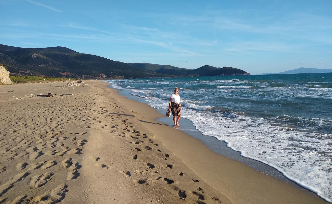 Photo de Spiaggia di Collelungo avec sable lumineux de surface