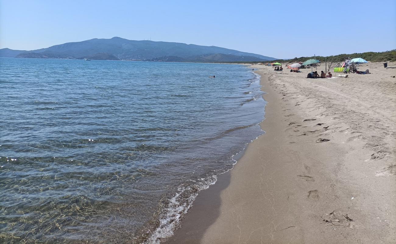 Photo de Plage de Feniglia avec sable lumineux de surface