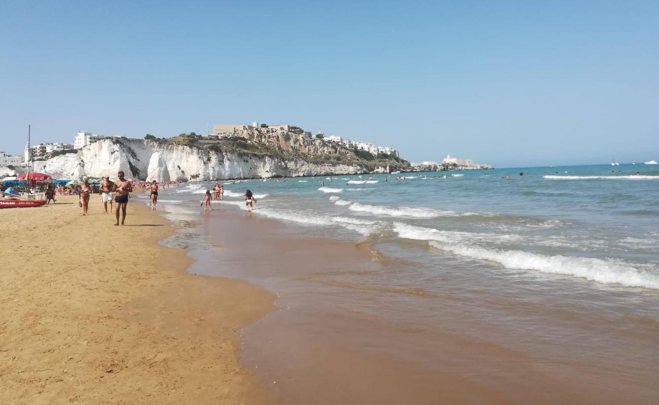 Photo de Plage de Pizzomunno avec sable lumineux de surface