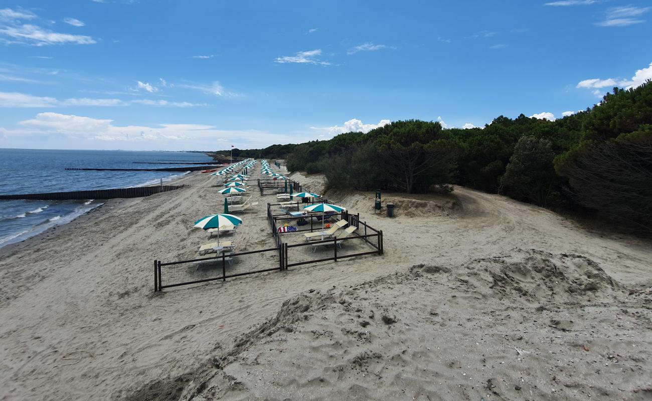 Photo de Spiaggia Romea avec sable lumineux de surface