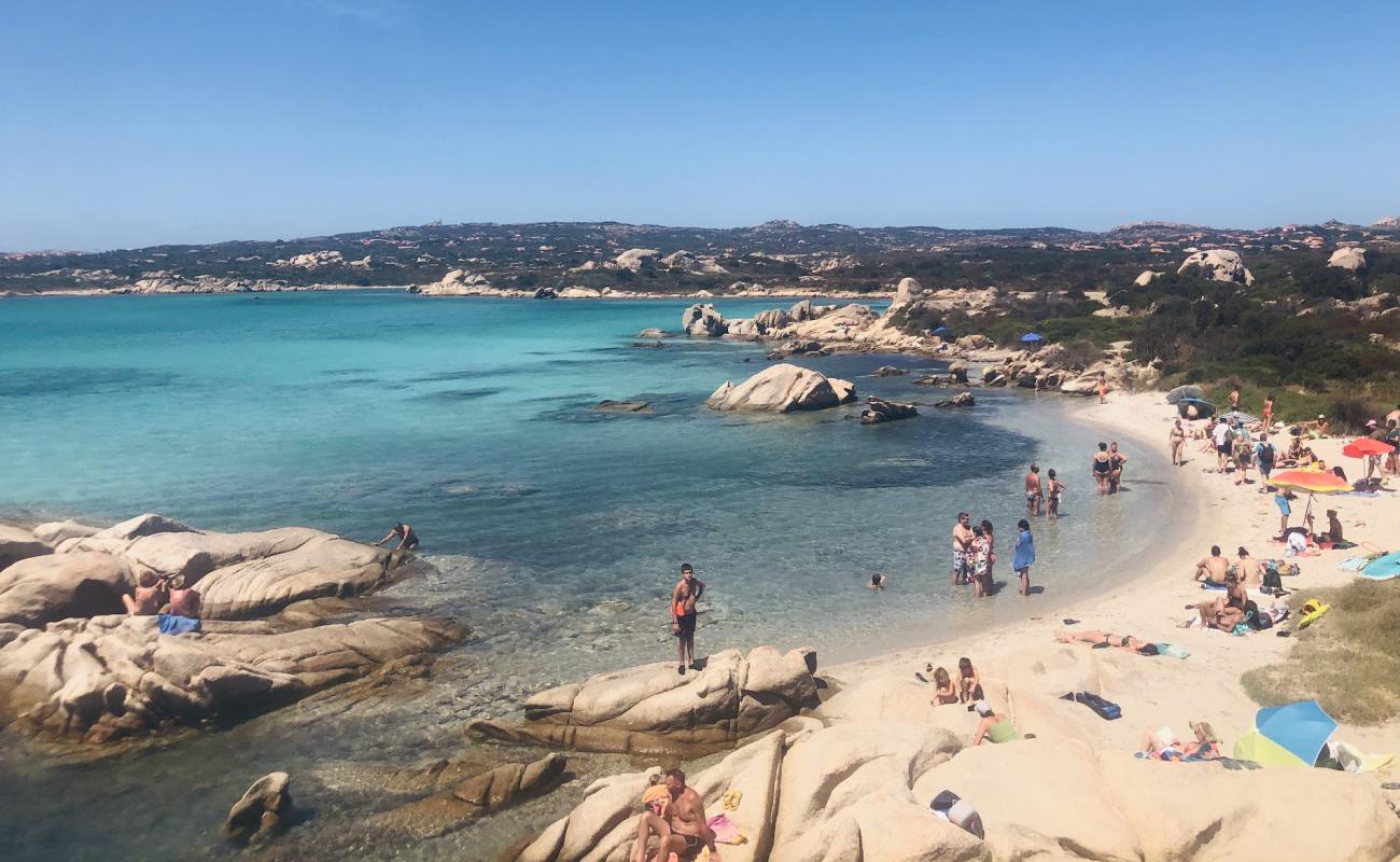 Photo de Spiaggia Testa Del Polpo avec sable lumineux de surface