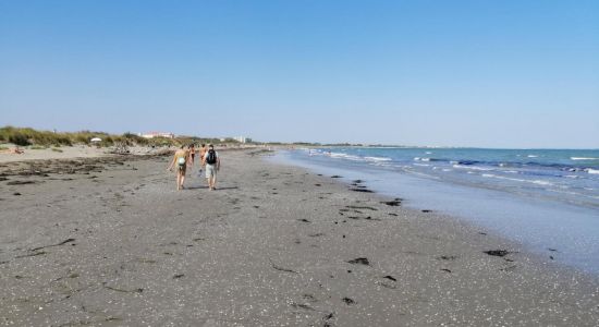 Plage Alberoni