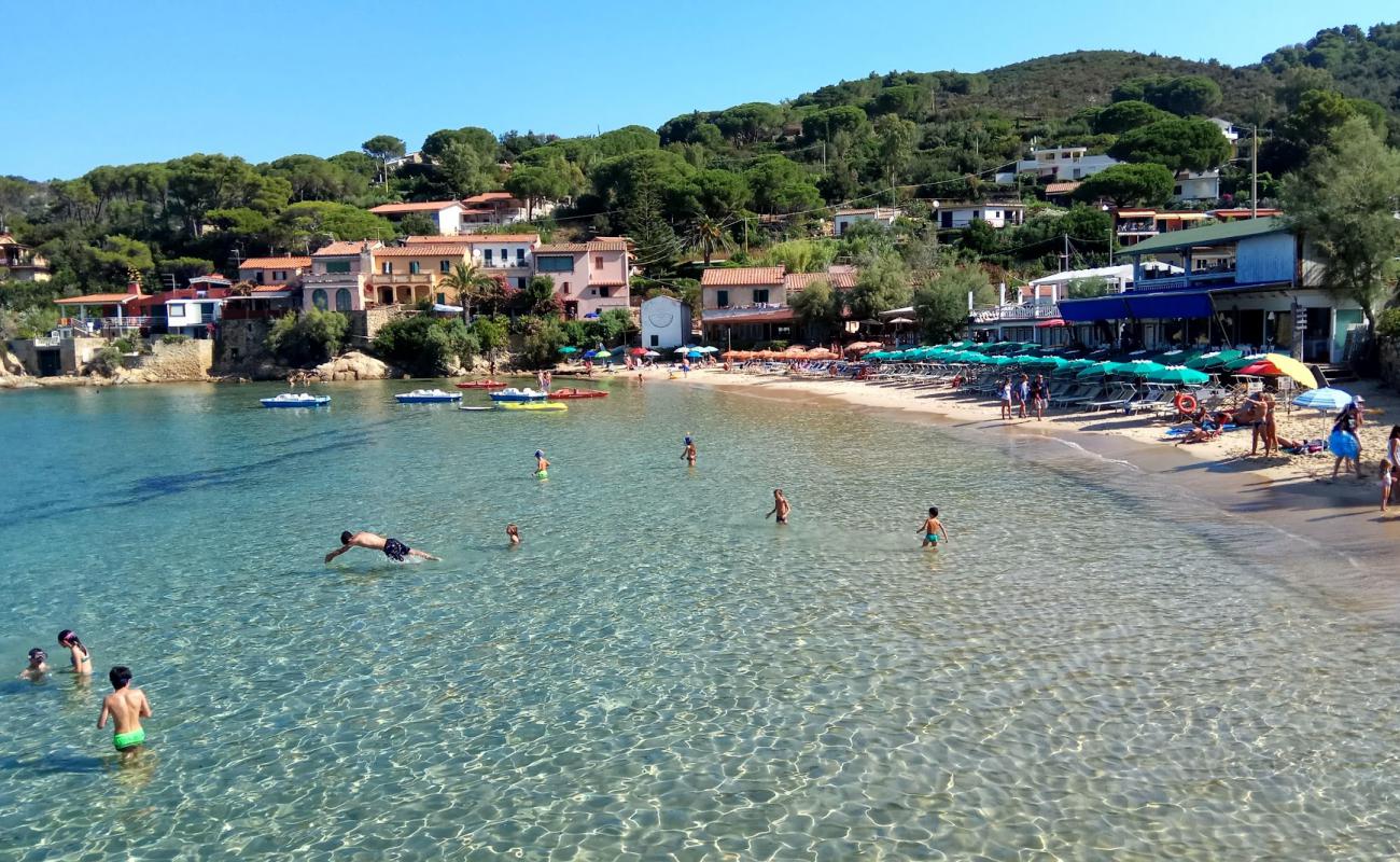 Photo de Plage de Scaglieri avec sable fin et lumineux de surface