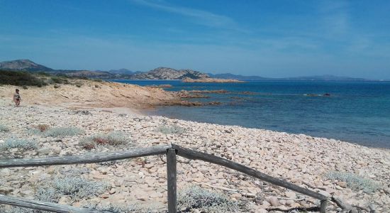 Spiaggia dell'isola dei Topi