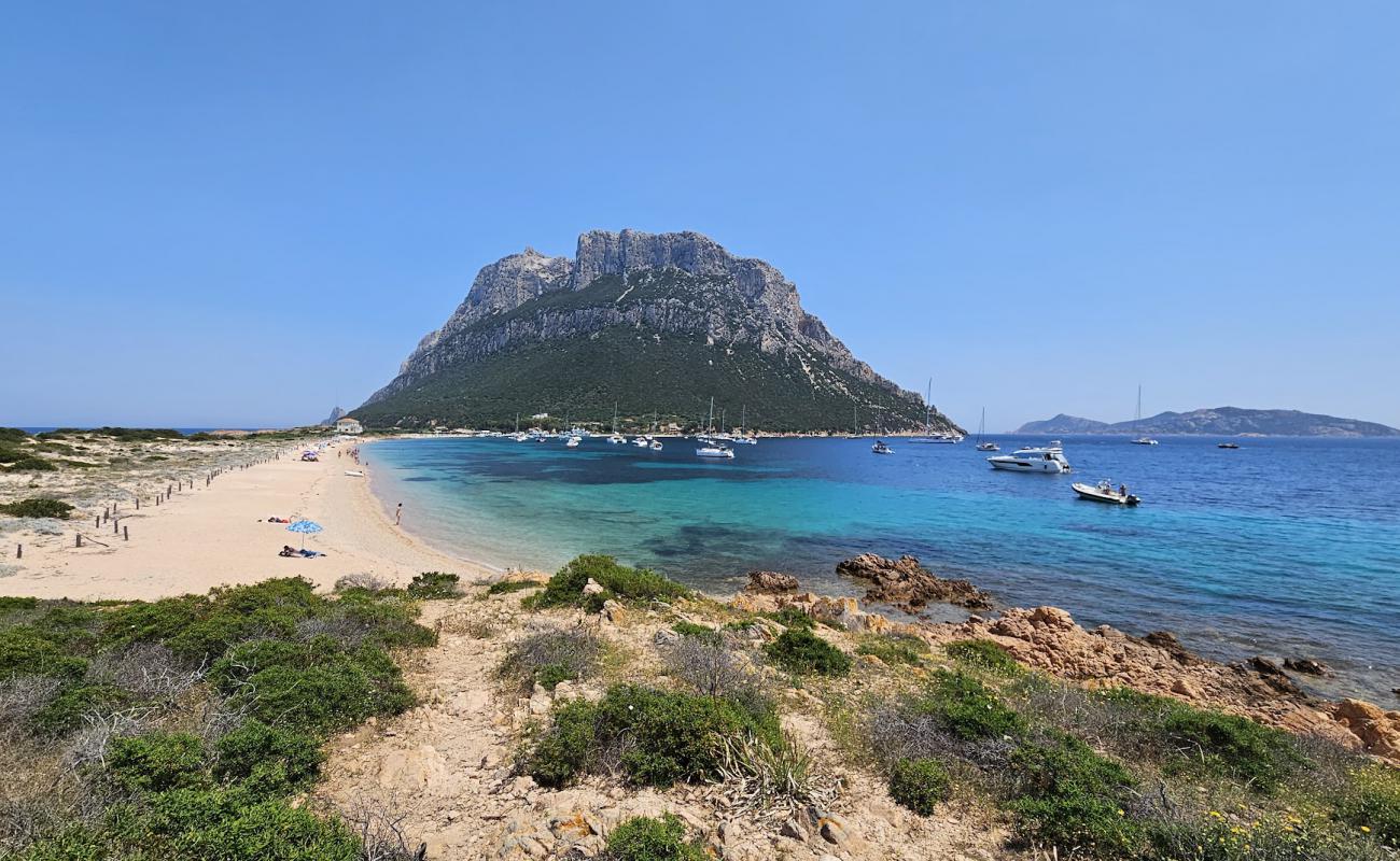 Photo de Spiaggia Spalmatore di Terra avec sable beige & galets de surface