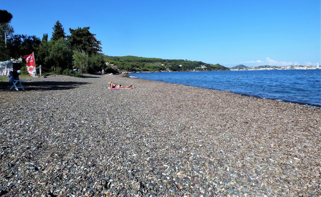 Photo de Spiaggia di Schiopparello avec caillou fin gris de surface