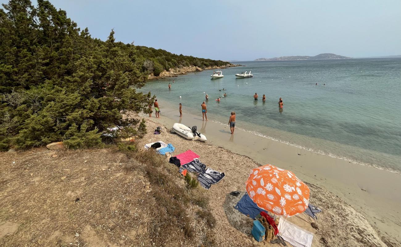 Photo de Punta la Vacca Beach avec sable beige de surface
