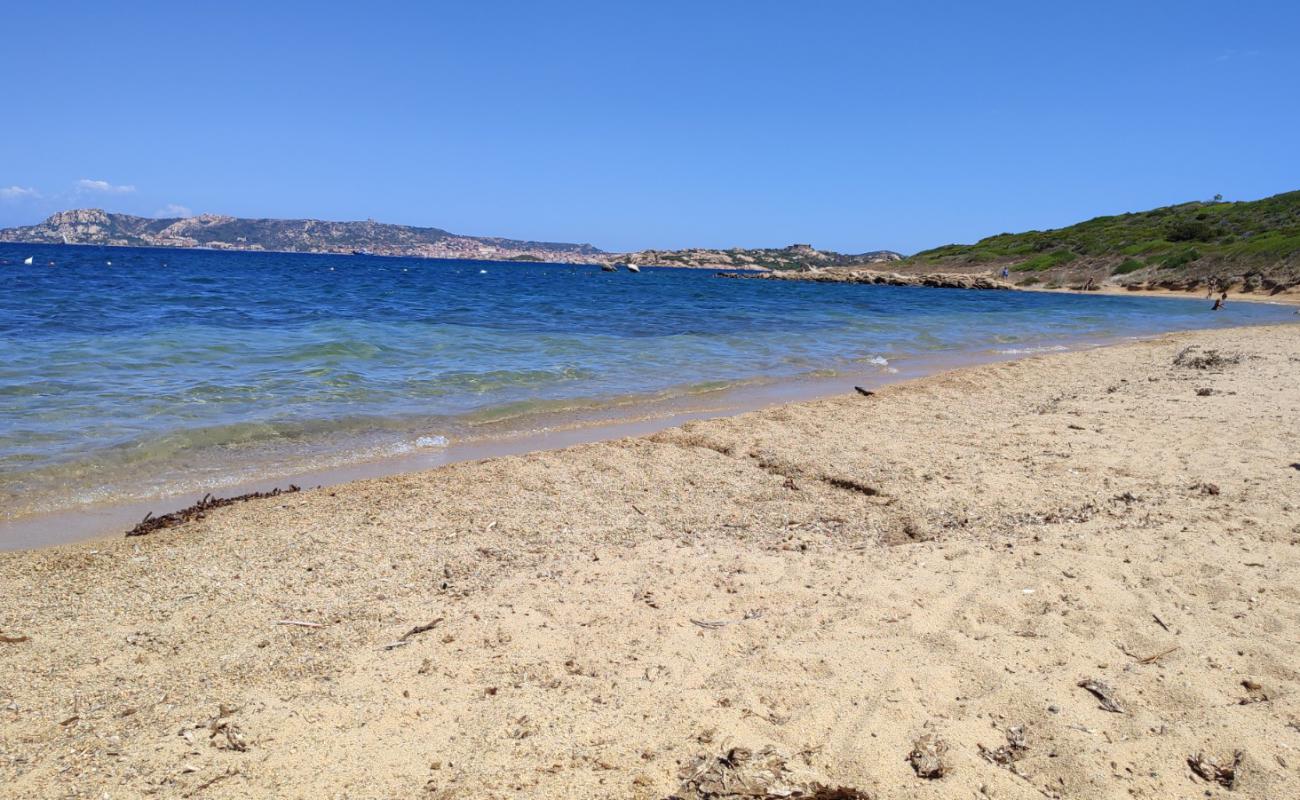 Photo de Spiaggia di Punta Nera avec caillou fin clair de surface