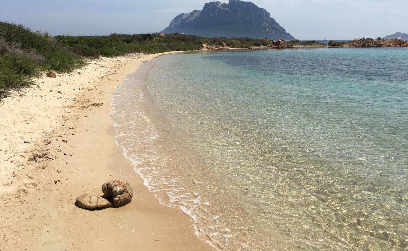 Photo de Spiaggia Isola dei Cavalli avec sable lumineux de surface