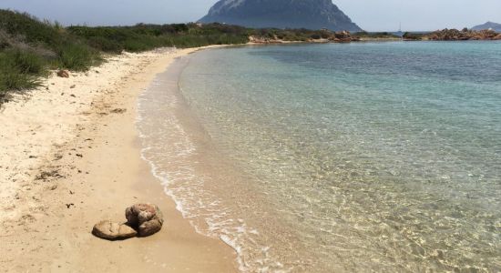 Spiaggia Isola dei Cavalli