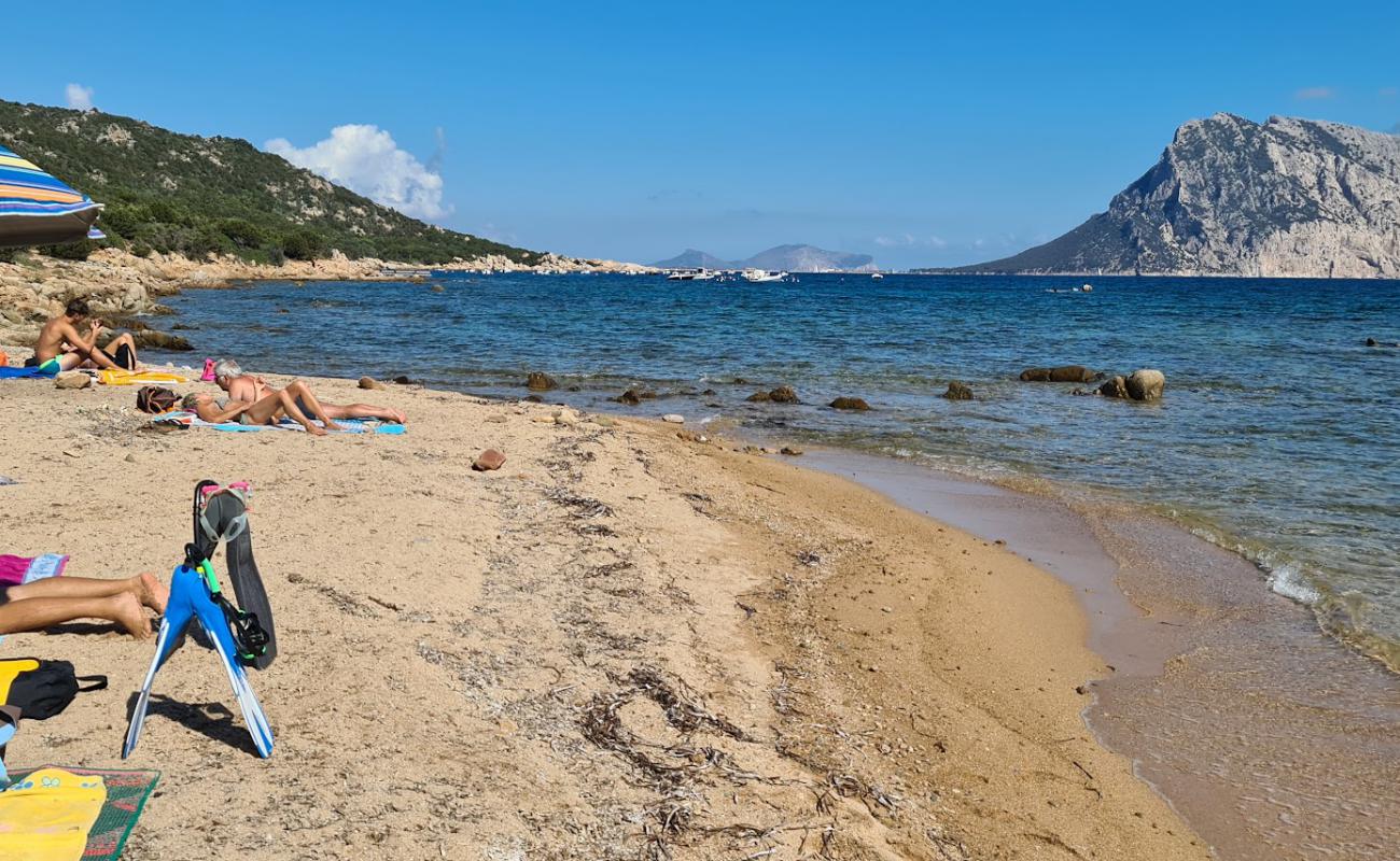 Photo de Cala Macchia Beach avec sable beige de surface