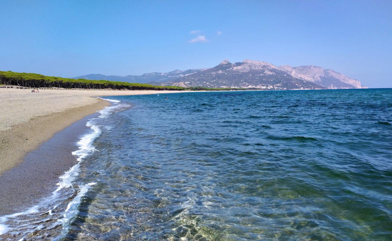 Photo de Spiaggia di Isula Manna avec sable lumineux de surface