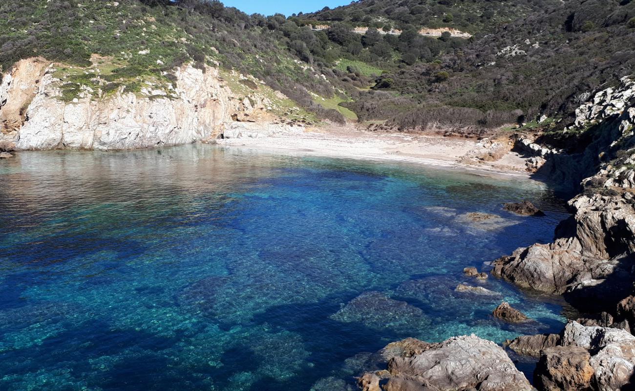 Photo de Cala Is Crabas avec sable lumineux de surface