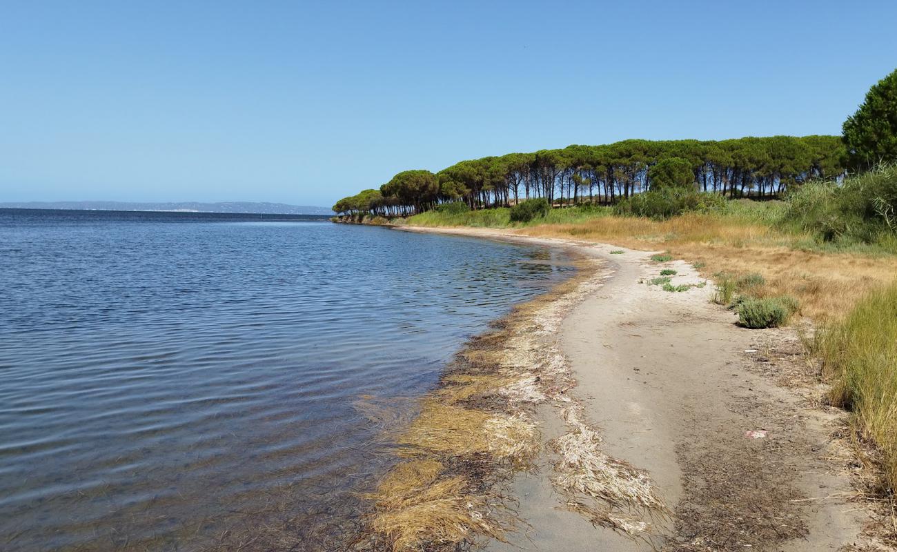 Photo de Spiaggia di Corongiuali avec sable lumineux de surface