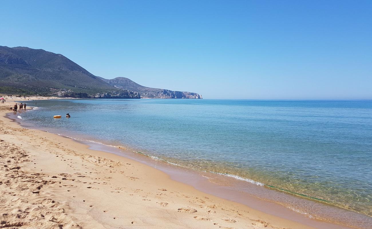 Photo de Dido Beach avec sable beige de surface