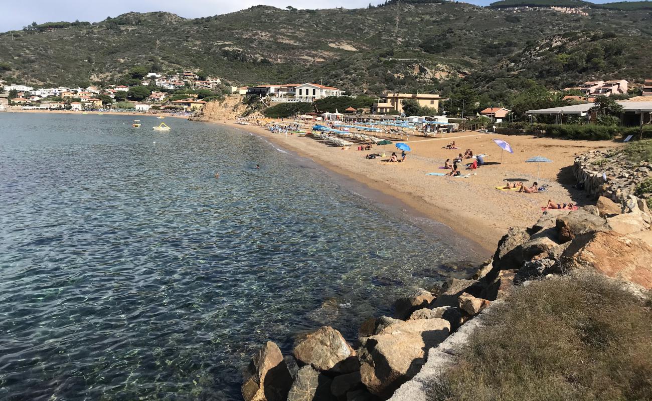 Photo de Bagno il Delfino Beach avec sable brun de surface