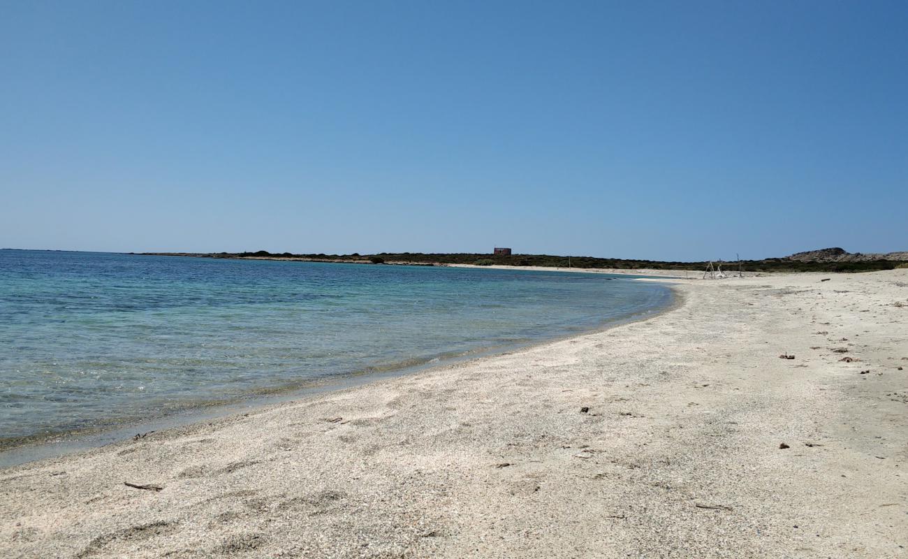 Photo de Spiaggia dello Spalmatore all'Asinara avec caillou fin clair de surface