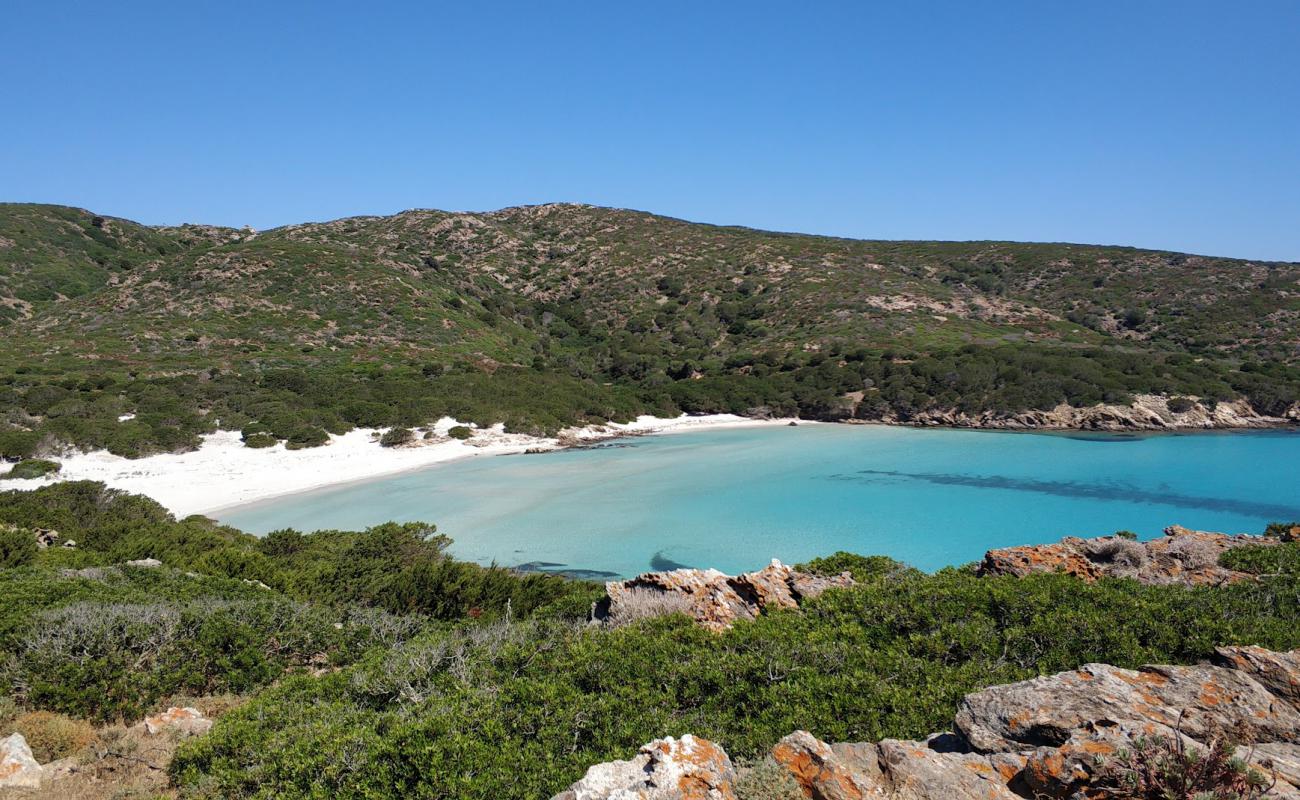 Photo de Cala d'Arena Beach avec sable blanc de surface