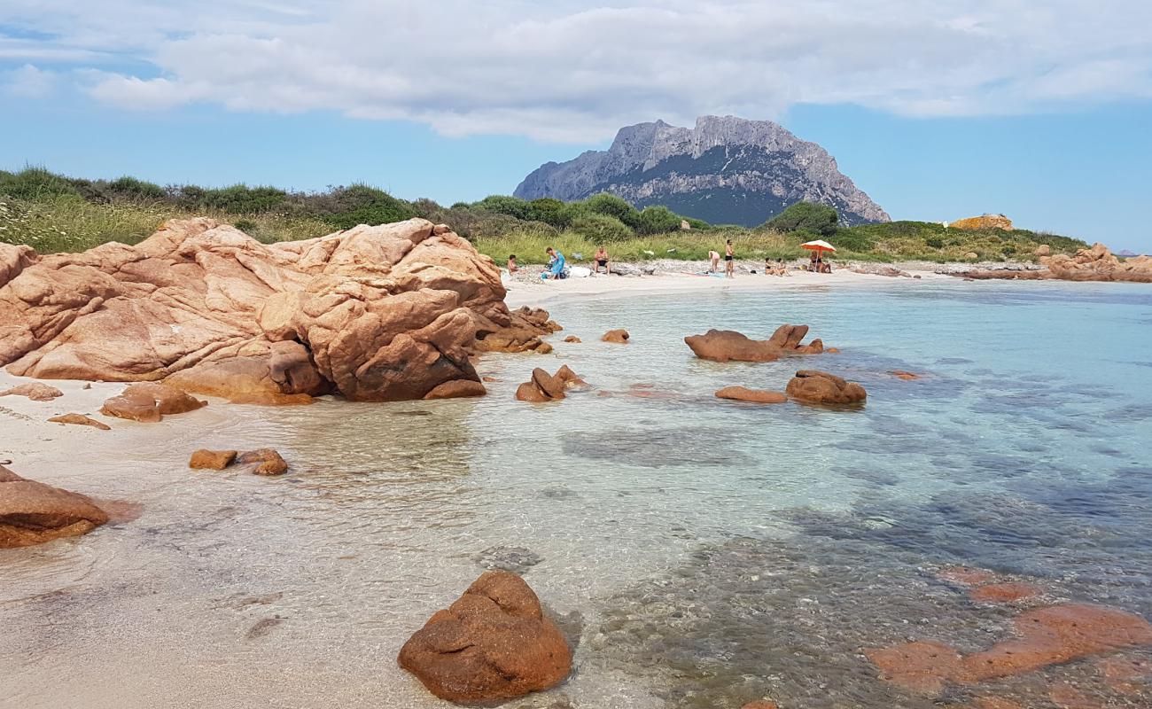 Photo de Spiaggia dell'Isola Piana avec sable lumineux de surface