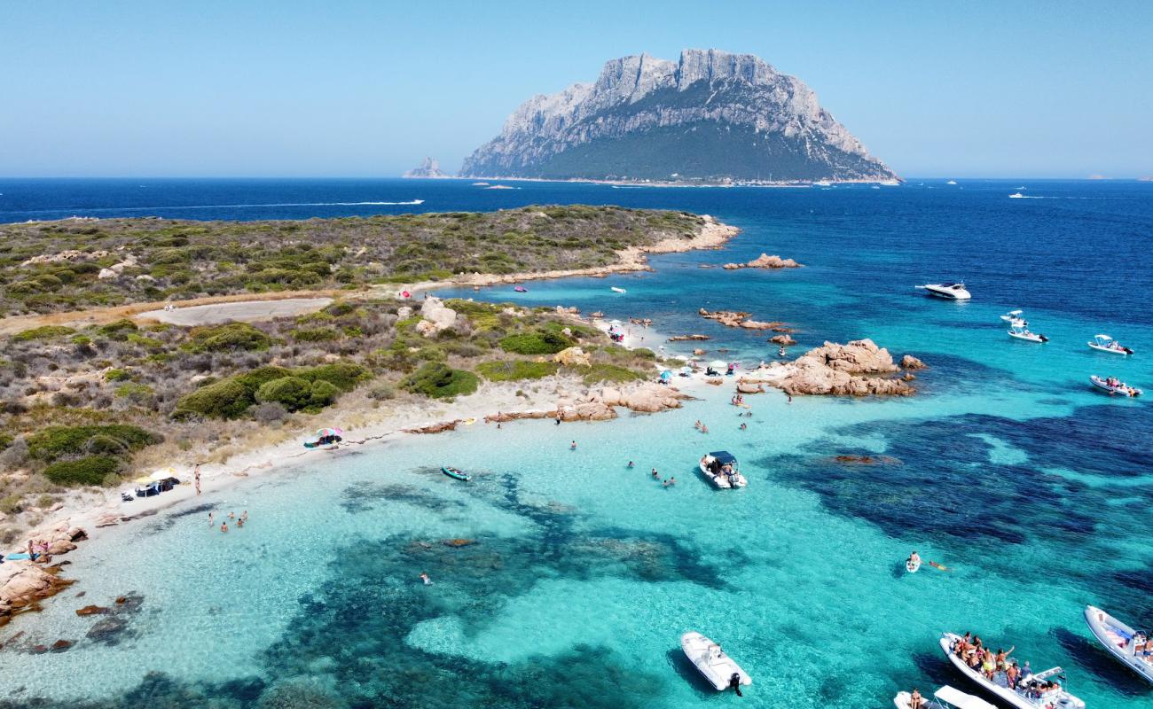 Photo de Spiaggia Sud di Isola Piana avec sable lumineux de surface