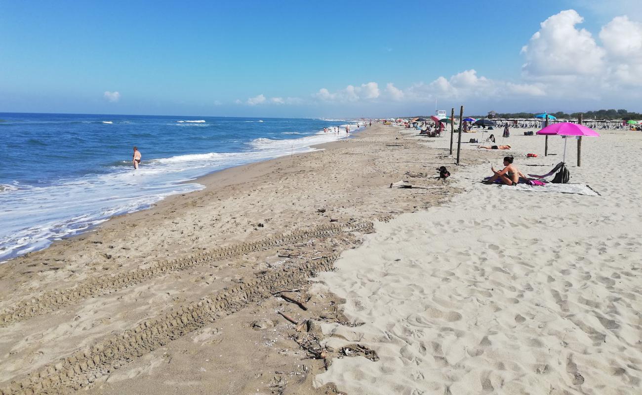 Photo de Spiaggia di Vecchiano avec sable lumineux de surface