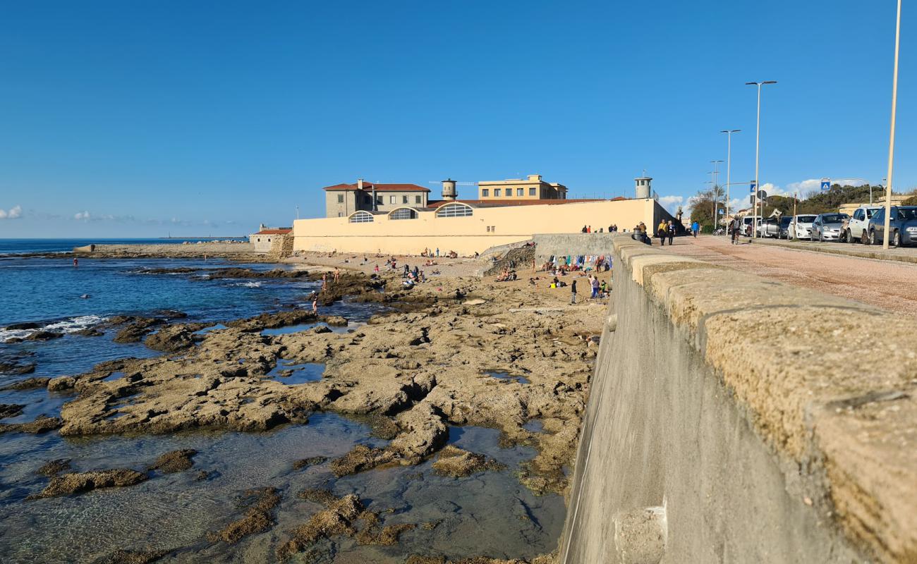 Photo de Scogli dell'Accademia avec rocky shore de surface