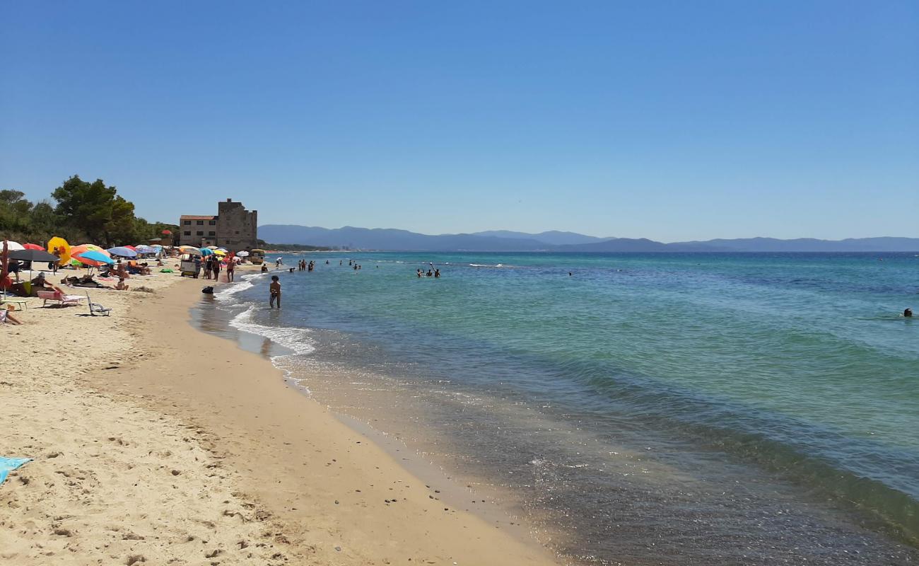 Photo de Spiaggia Libera di Torre Mozza avec sable lumineux de surface