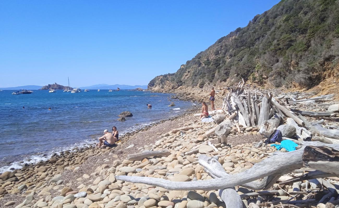 Photo de Cala Tartana avec terrain rocheux de surface