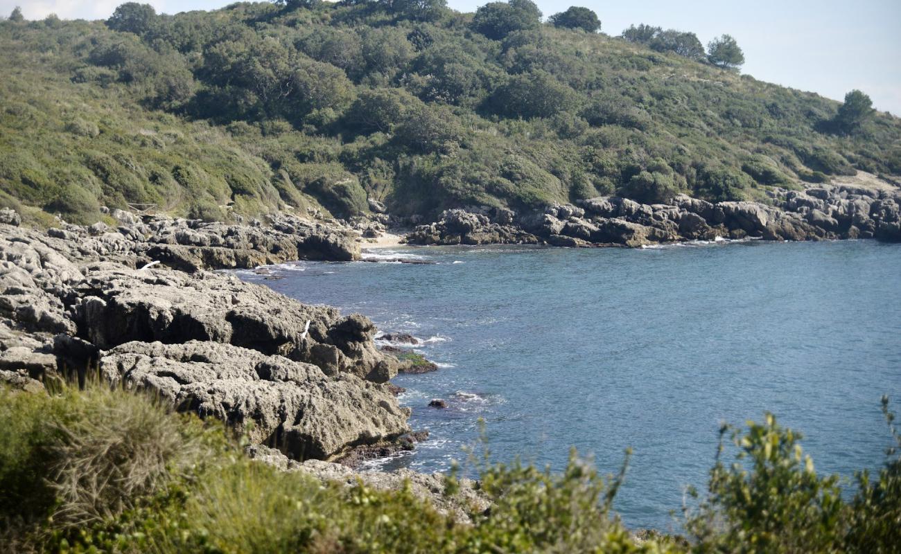 Photo de Spiaggia di Porto Cofaniello avec caillou clair de surface