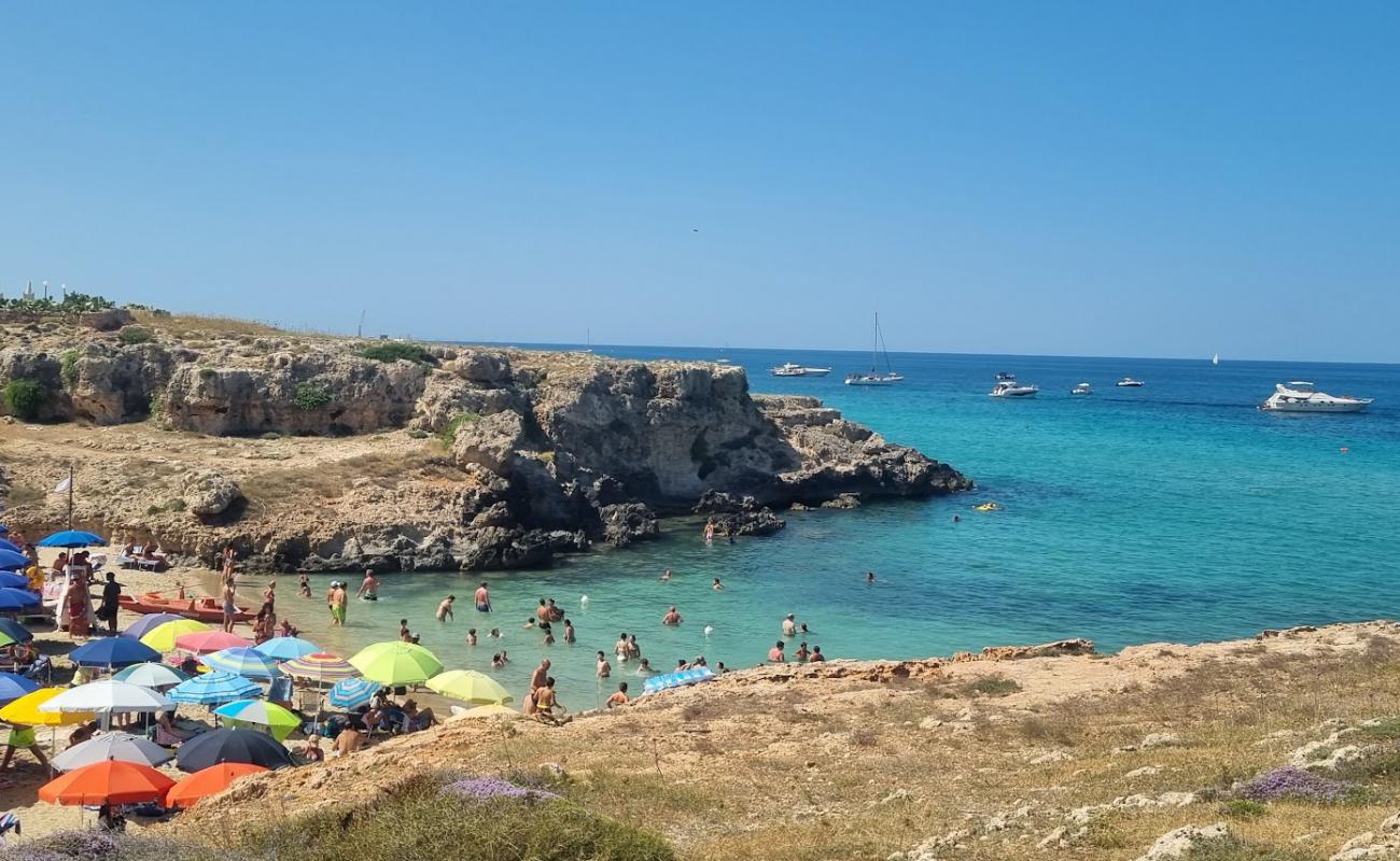 Photo de Lido Porto Camicia avec sable lumineux de surface