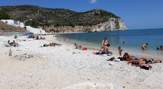 Spiaggia di Tor di Lupo